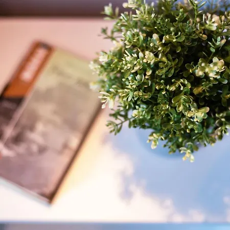 Teraszos, Csendes Apartman Koezponti Reszen Lejlighed Siófok